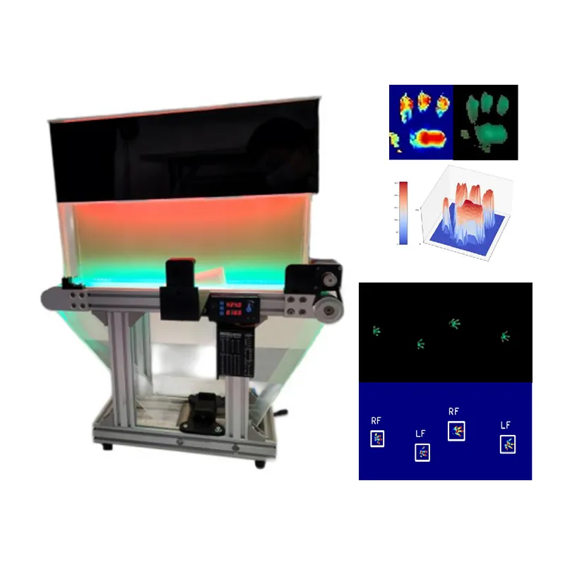 Gyvūnų bėgimo takelio eisenos analizės sistema