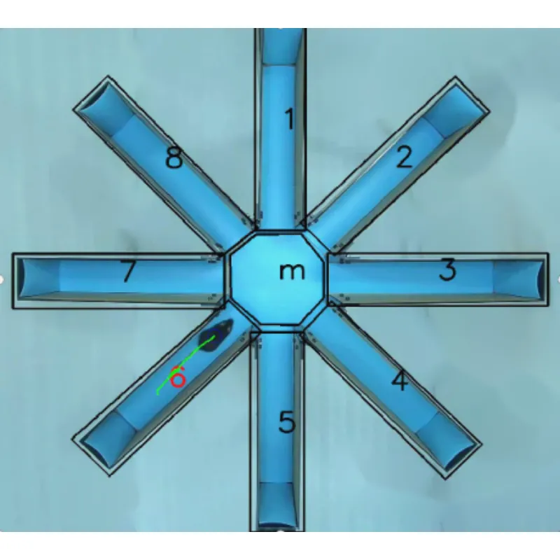 Radialinis rankų labirintas