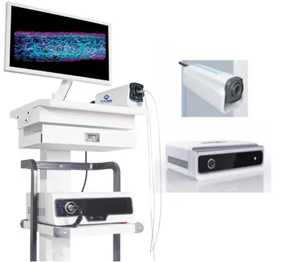 Multimodalinė endoskopinė vaizdo gavimo sistema